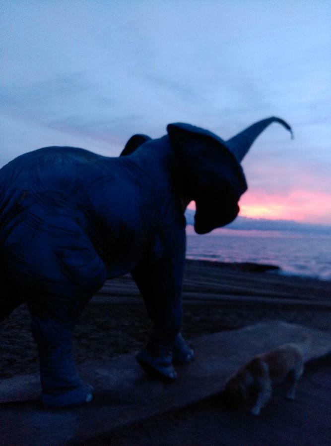 Acapulco III Marina Dor Lejlighed Oropesa del Mar Eksteriør billede